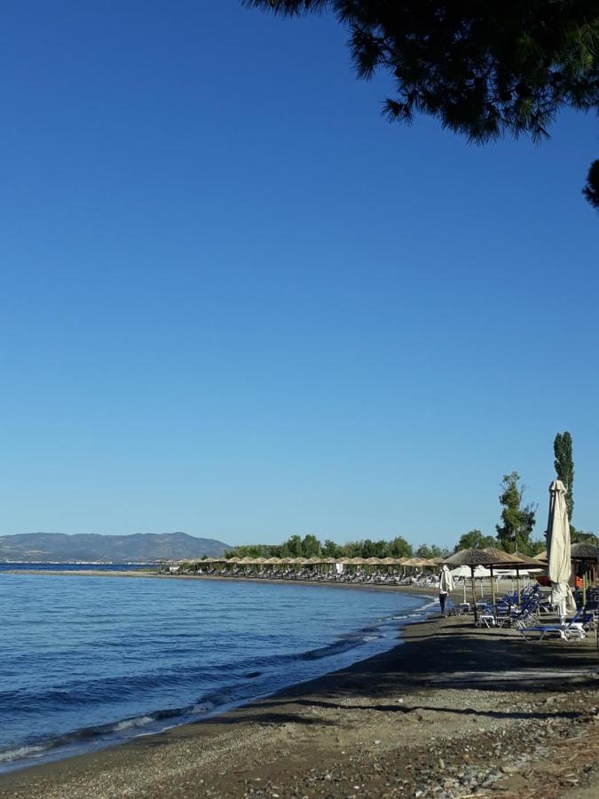 Villa Gorjelina 'S House Volos Esterno foto