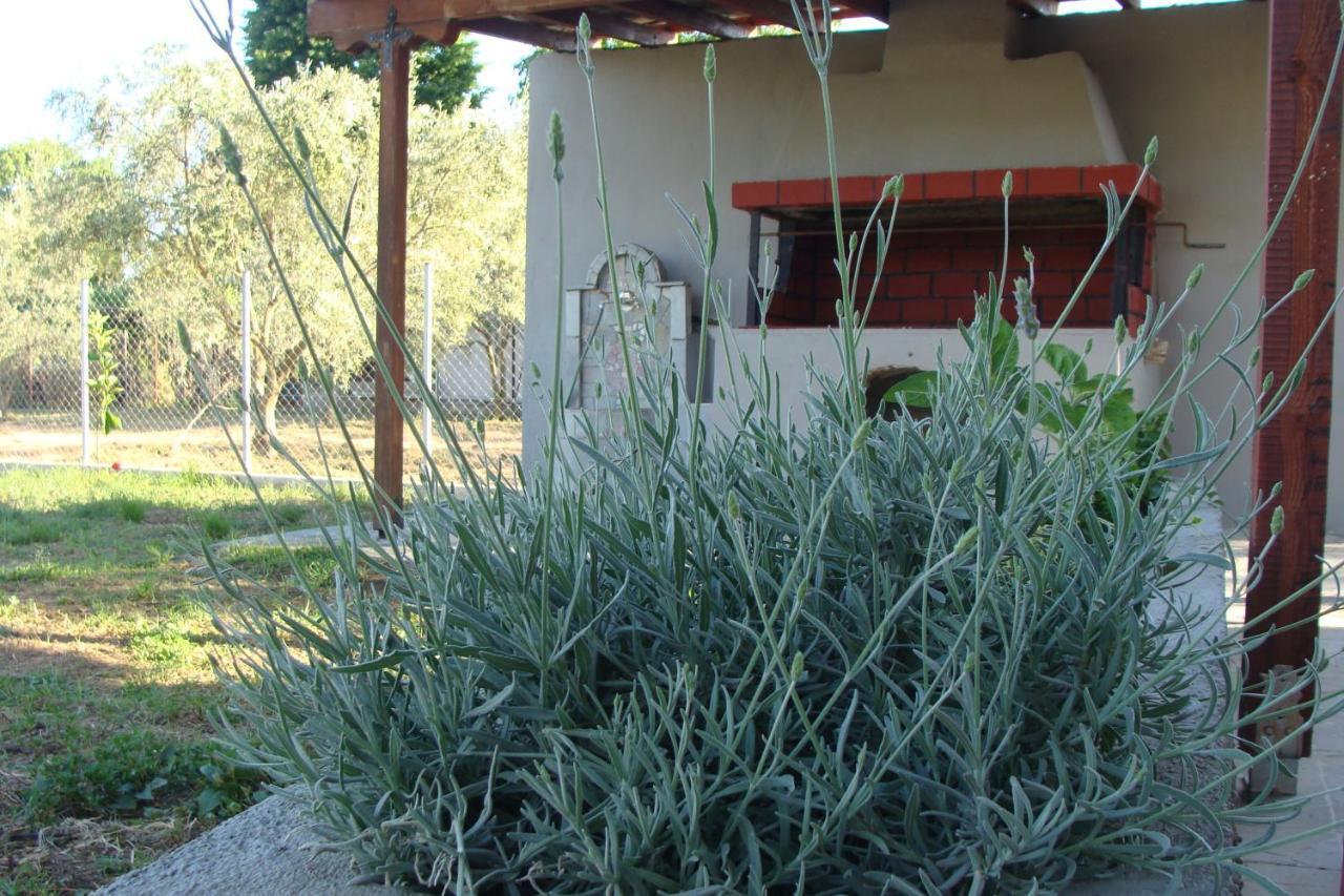 Villa Gorjelina 'S House Volos Esterno foto